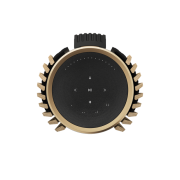 ng & lufsn BeoLab 28 Gold