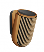 ng & lufsn BeoLab 8 Bronze tone