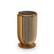 ng & lufsn BeoLab 8 Bronze tone
