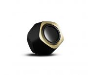   Bang & Olufsen BeoLab 19 Brass Tone