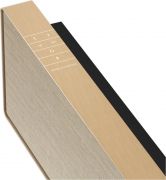 Bang & Olufsen Beosound Stage Gold tone/Golden